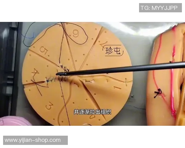 广州篮球队中路突破战术解析与实战应用深度剖析